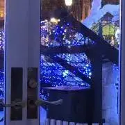 にゃむの画像