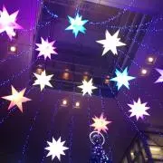 梅椿の画像