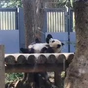 ひろ