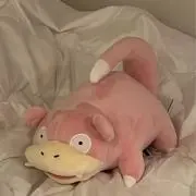 ayaの画像