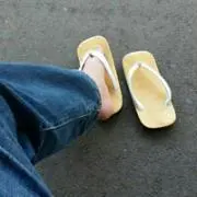 もりちゃんの画像