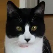 アスパラ
