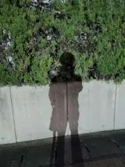 K_nikonikoの画像