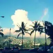 Siaの画像