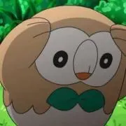 FoLの画像