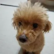 りょう