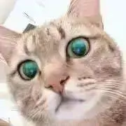 Mari821の画像