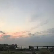 しーちゃんの画像