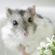 デンキの画像