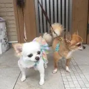 断捨離