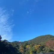 abccccaの画像