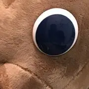ＳＳ