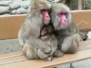かずちん