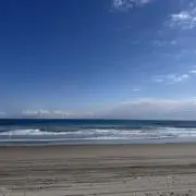 Imochanの画像