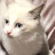 ほってぃ
