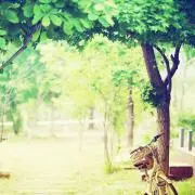 Image of ✨manamana✨