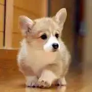 あみ♡の画像