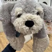 ととろ