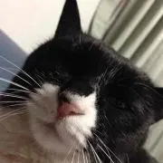 MKの画像
