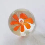 aikaの画像