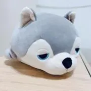えいの画像