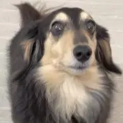 るぶの画像