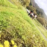 豆ごはん