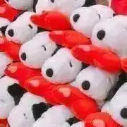 ぱるんるんの画像