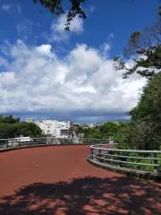 まっの画像