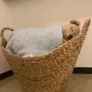 みたらしだんご