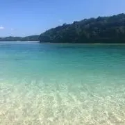 アルフ☻の画像