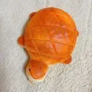 かめの画像