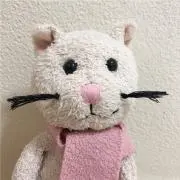 ねここの画像