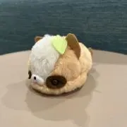 にゃんこの画像