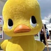 ぐりこの画像