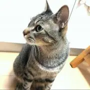 ひろ