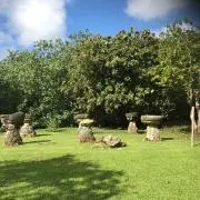きなちゃんの画像