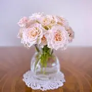 Lovely0904の画像