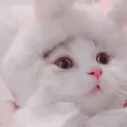 ris¨̮の画像