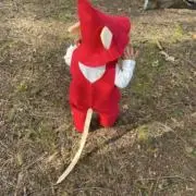 Kuma☆の画像