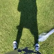 マユヒヨ