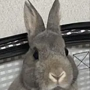 ペプシマン