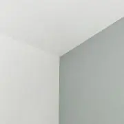don donの画像