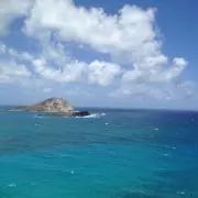 SEAの画像