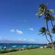alohaakkieの画像
