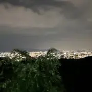 とーにーの画像