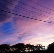 NUの画像