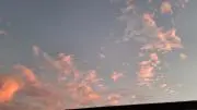 ゆの画像