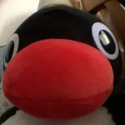 せがーるの画像