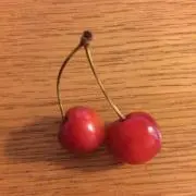 ゆうくんの画像